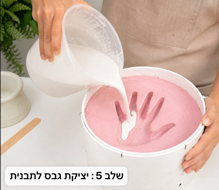 אלגינט ורוד – תמונה 3